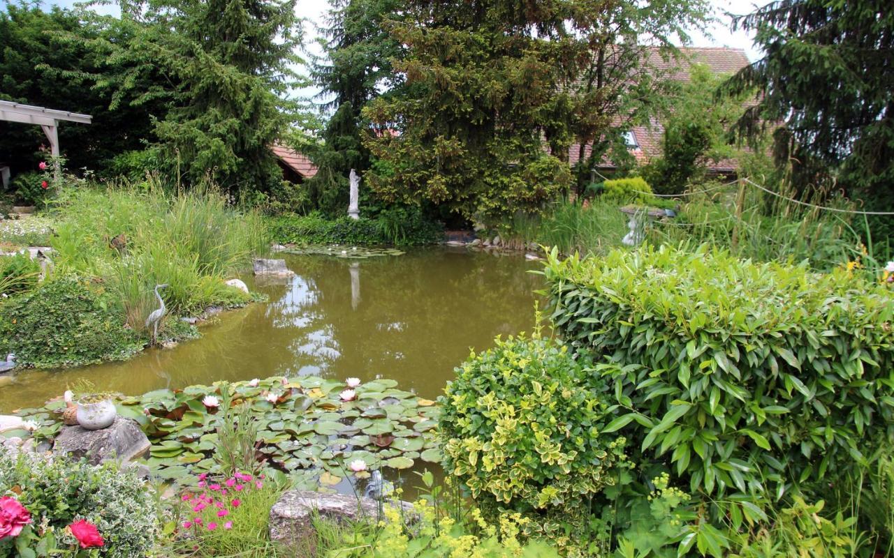 Zimmer Paradiso Busingen am Hochrhein Esterno foto