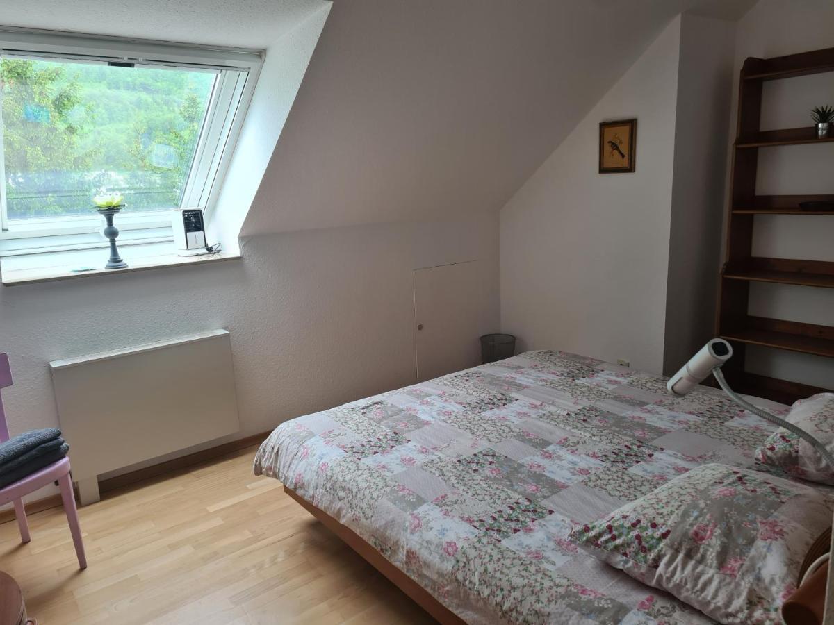 Zimmer Paradiso Busingen am Hochrhein Esterno foto